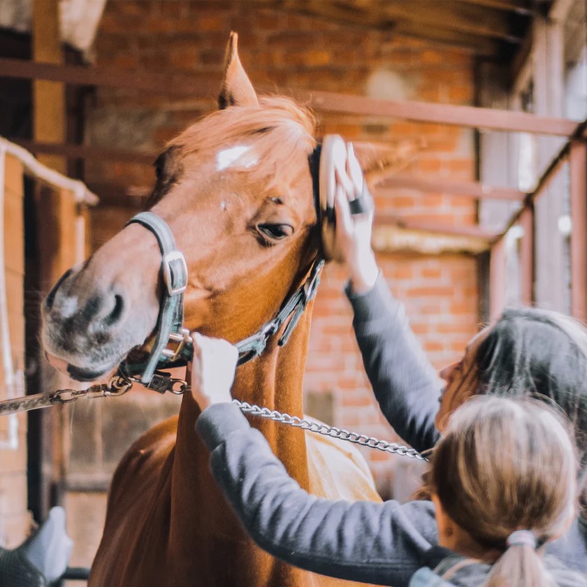 2 Balsamo Krauterhof Extra Strong 250 ml Riscaldante foto 5