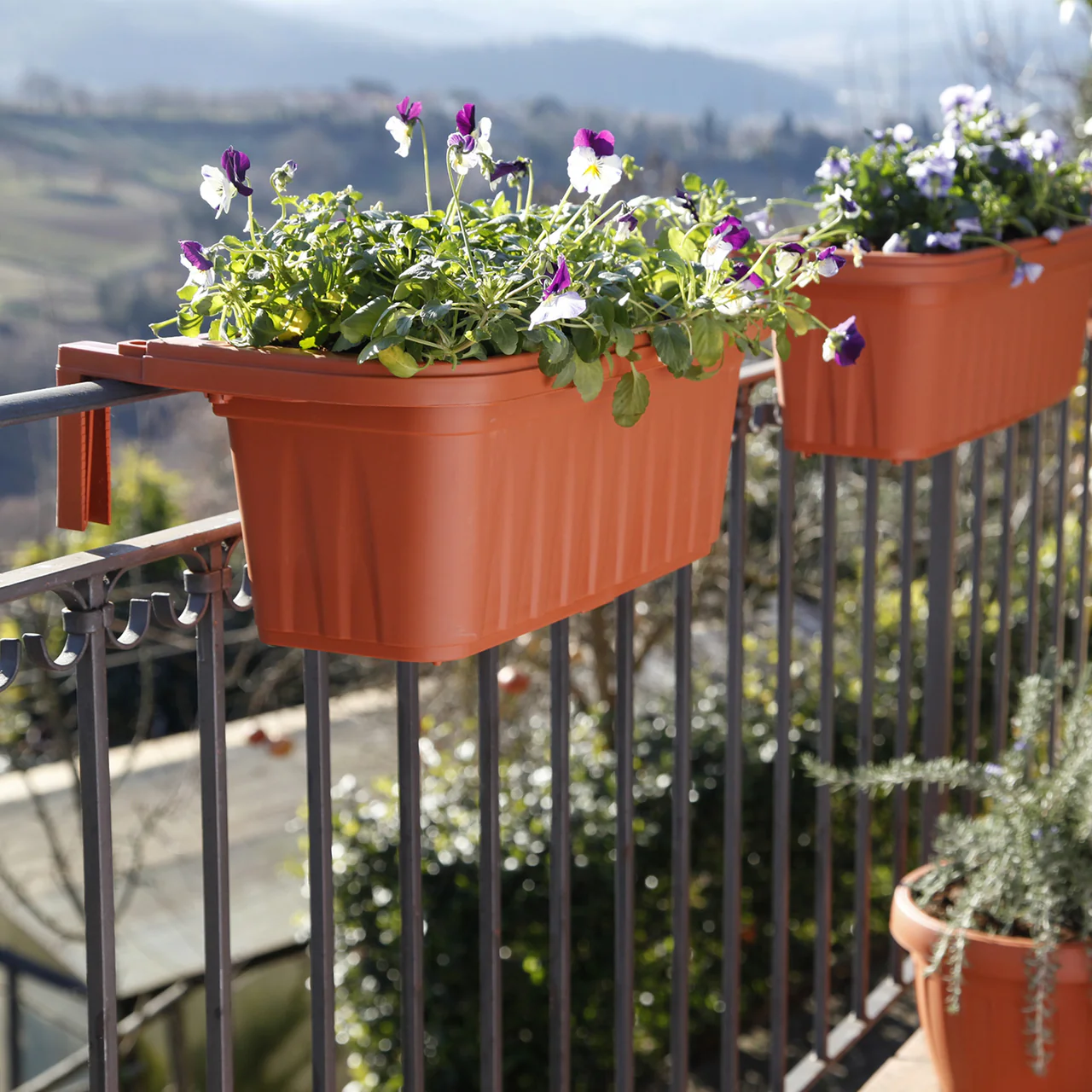 Bama Fioriera Rondine 50 cm Terracotta 1 Pezzo foto 3