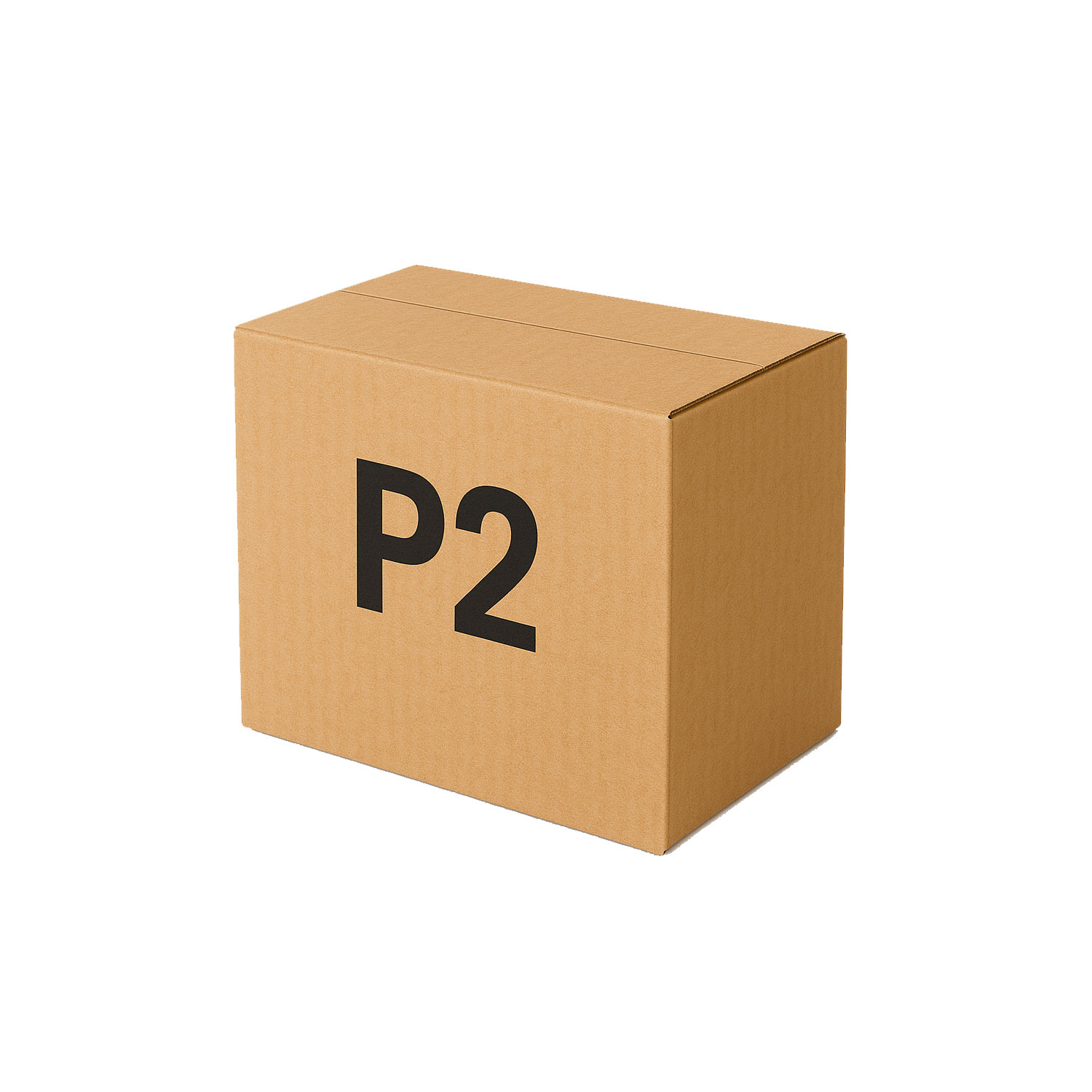 P2 foto 2