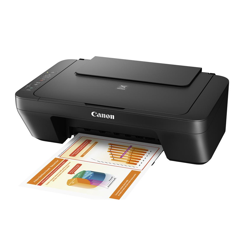 Multifunzione canon mg2555s - inkjet a4 0727c026.