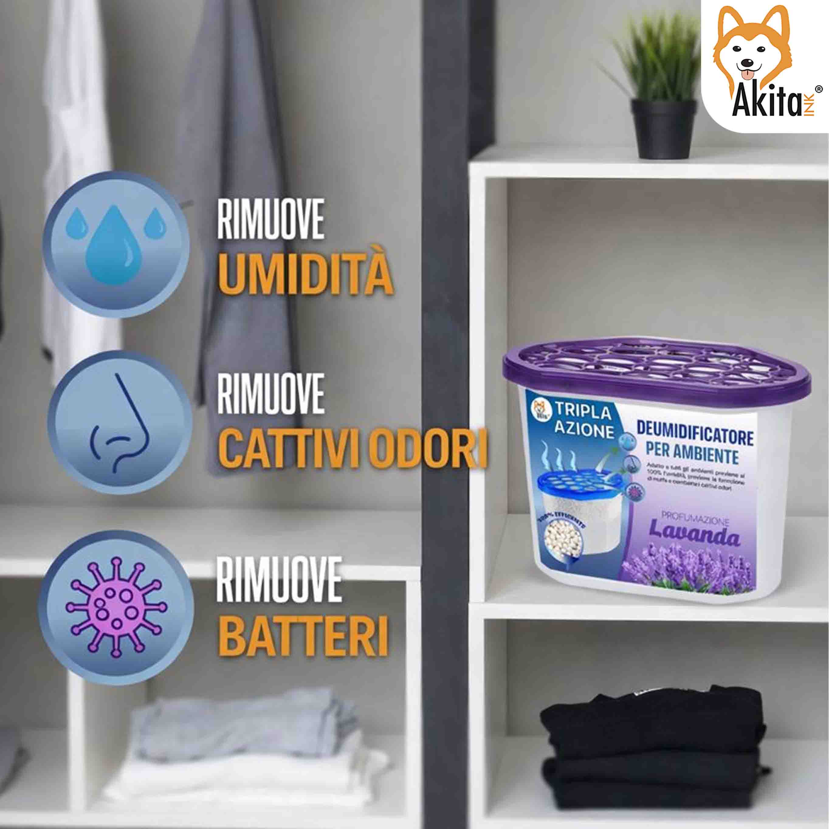 Set 6 Assorbiumidita' Deumidificatori Lavanda 500 ml foto 4