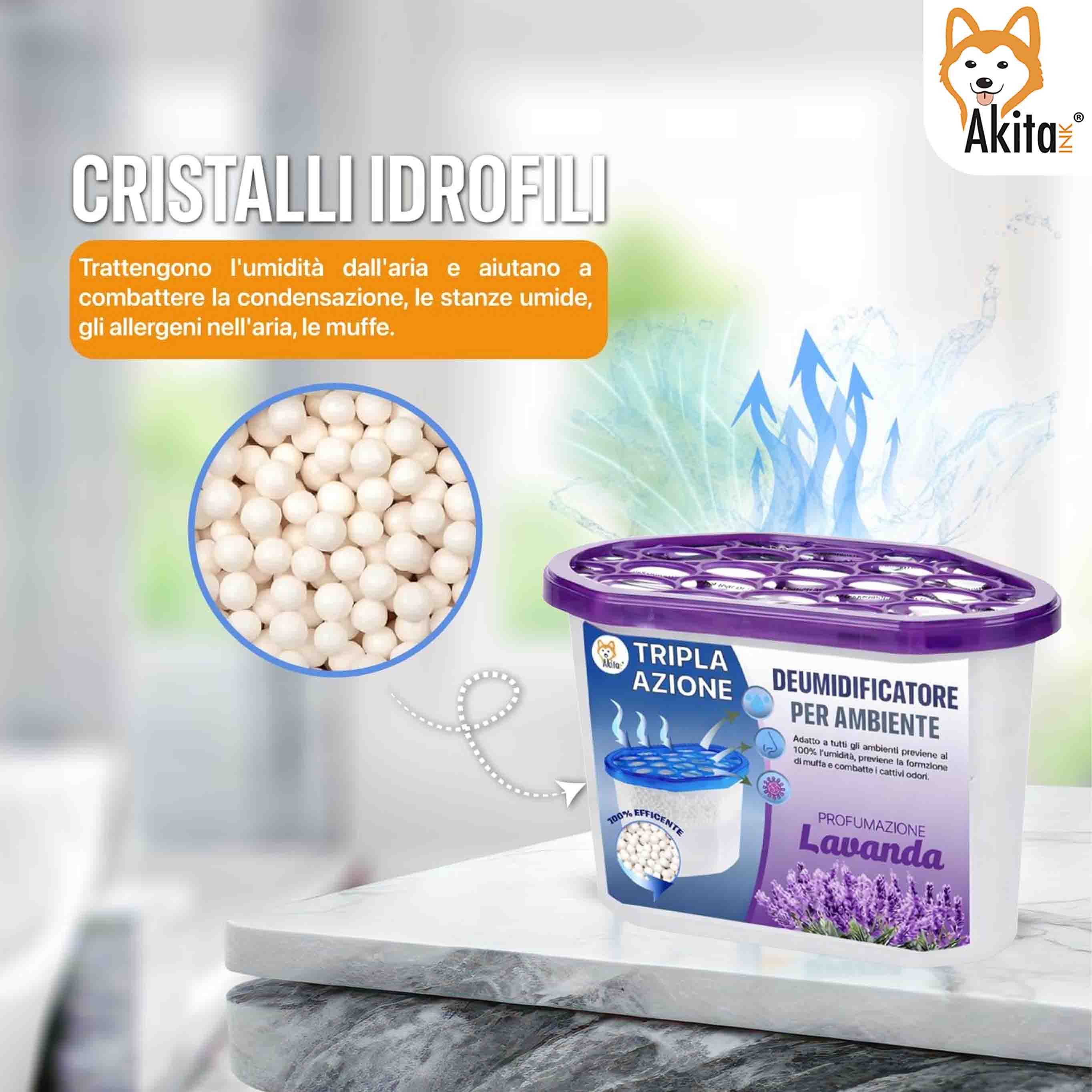 Set 6 Assorbiumidita' Deumidificatori Lavanda 500 ml foto 5